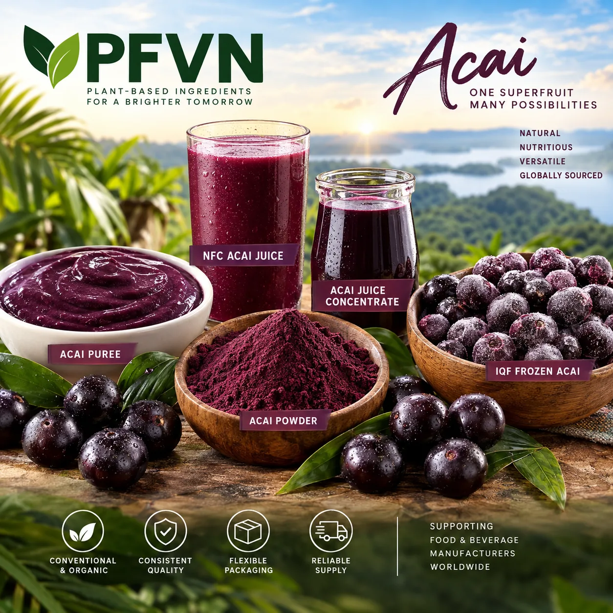 Acai powder for industrial manufacturing