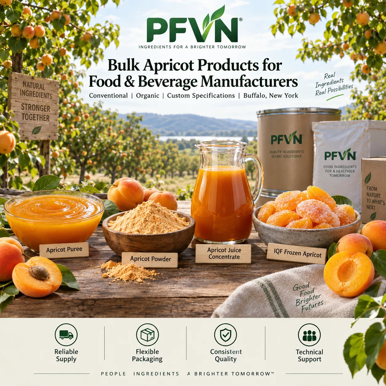 Bulk Apricot Juice Concentrate