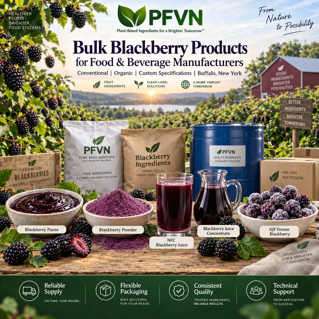 Blackberry powder for industrial manufacturing