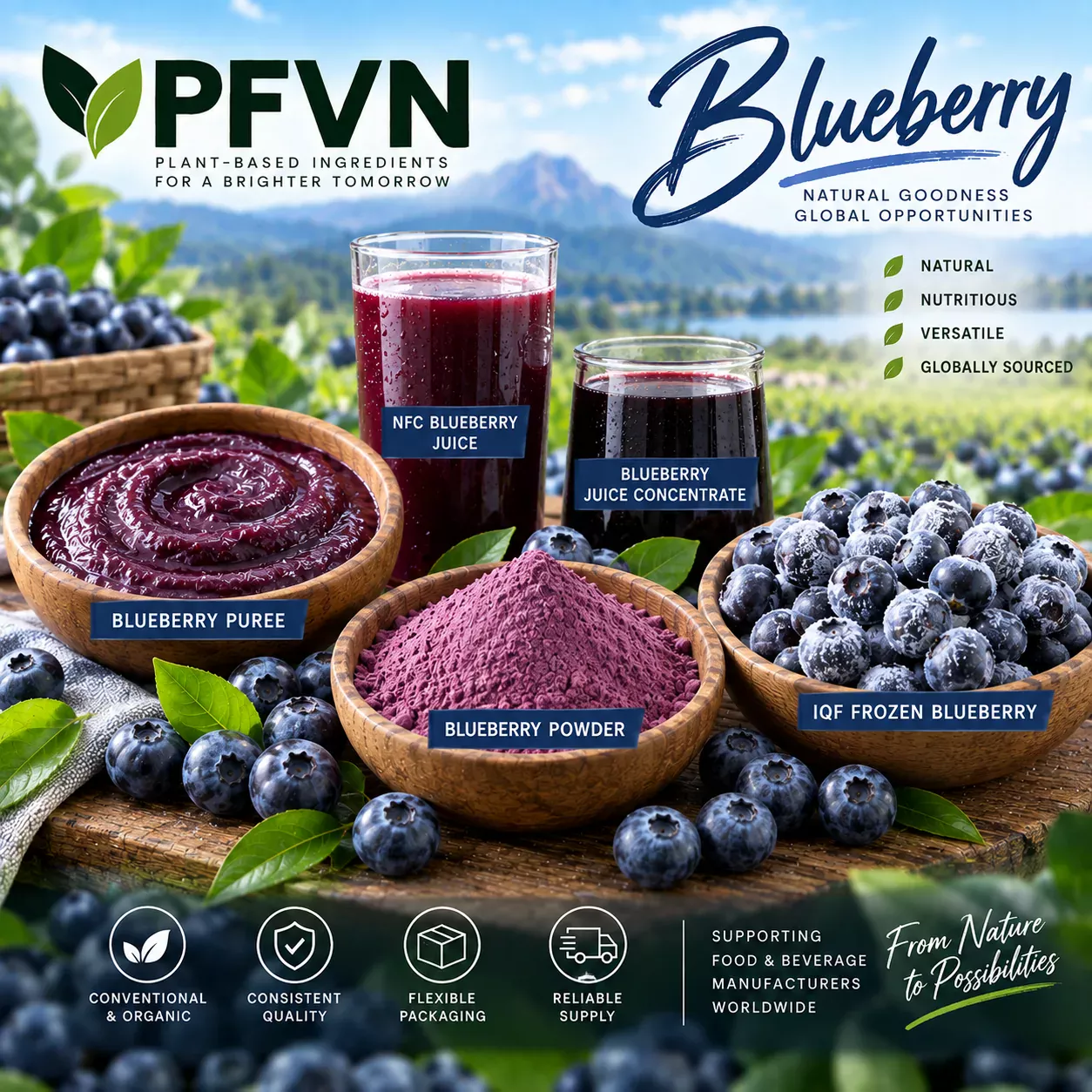 Blueberry powder for industrial manufacturing
