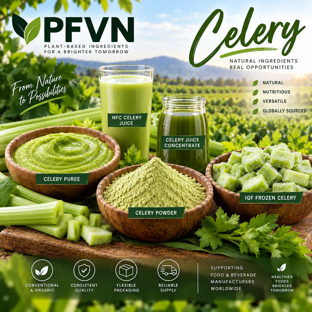 Bulk Celery Powder