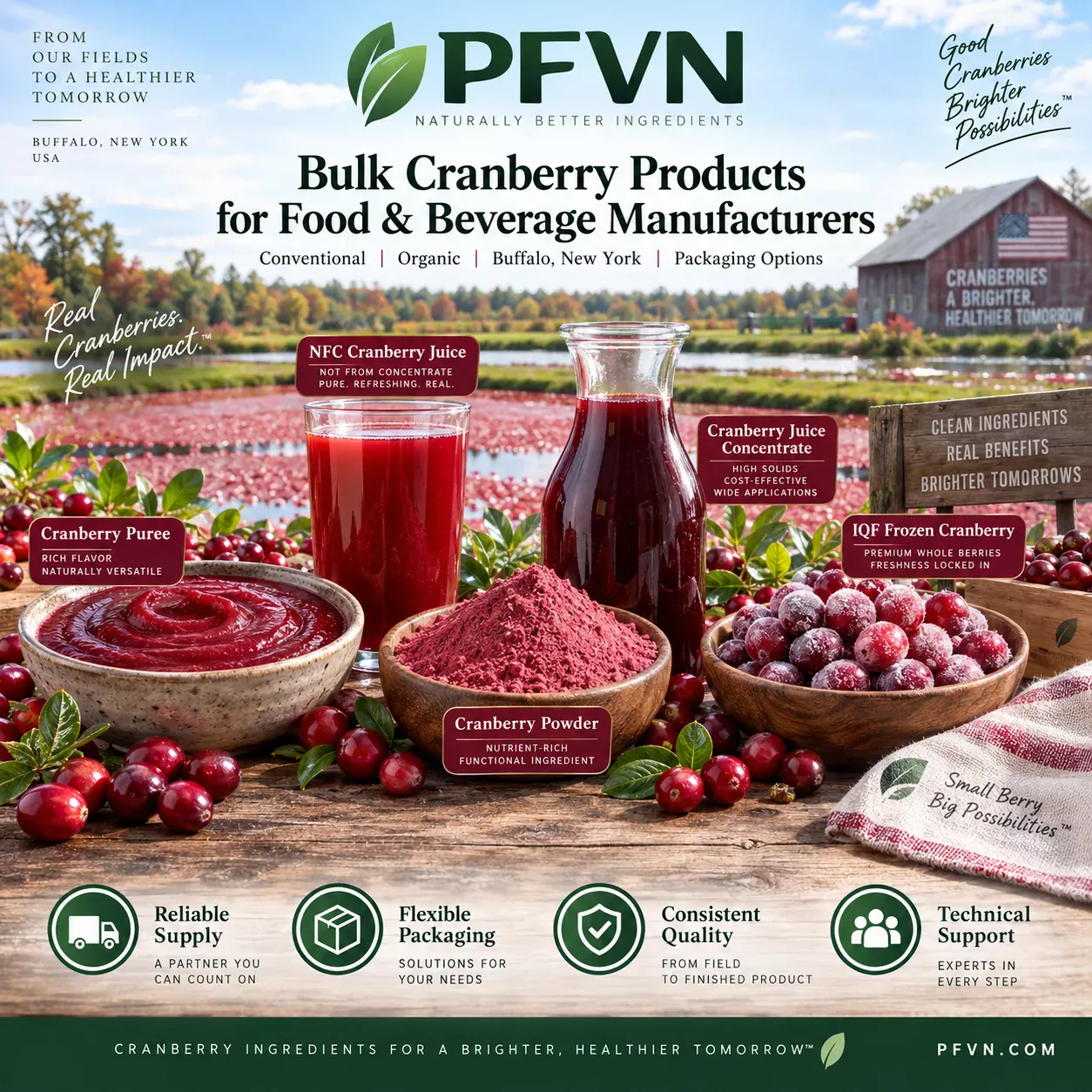 Bulk Cranberry Juice Concentrate