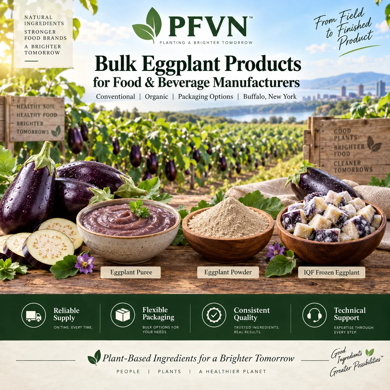 Bulk Eggplant Puree