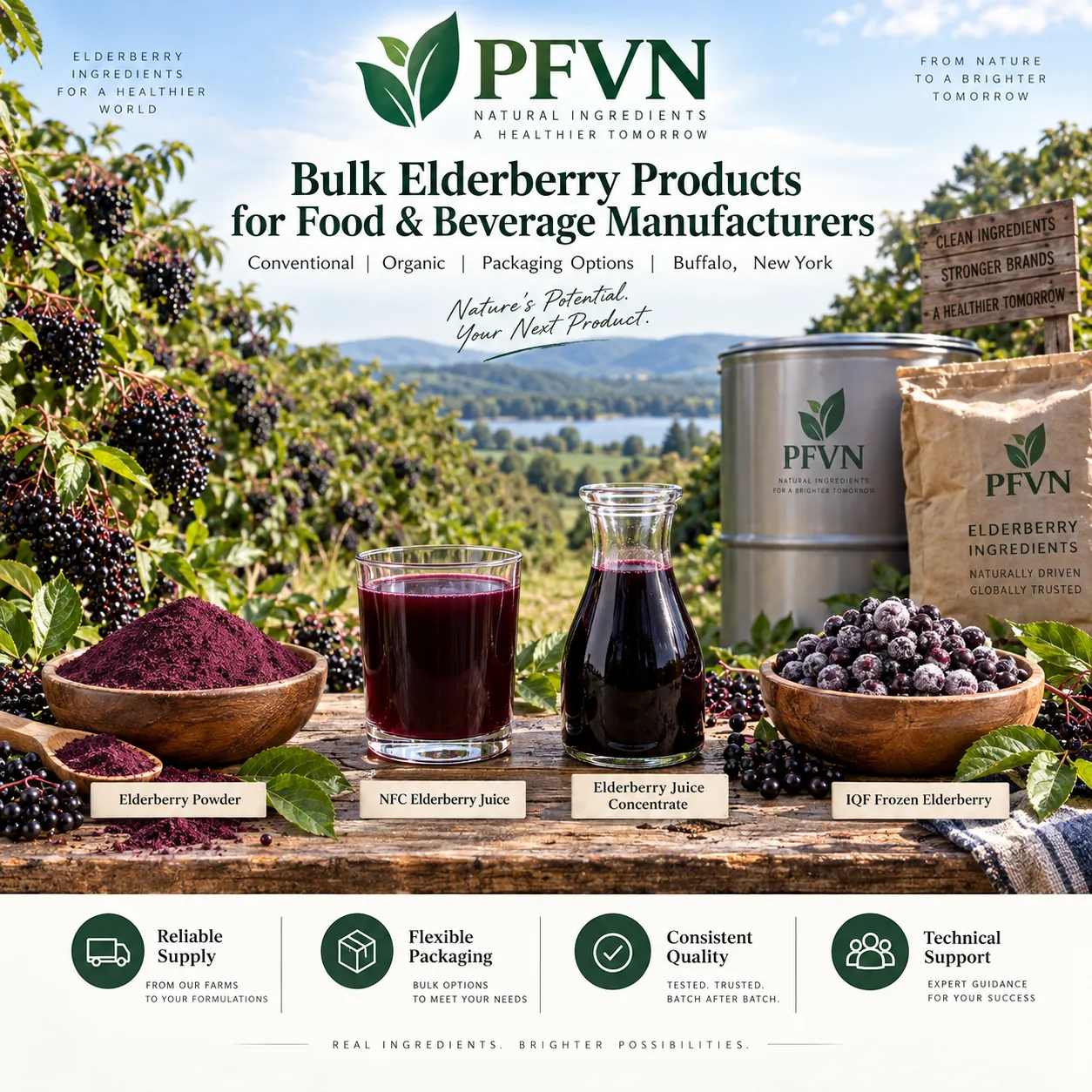 Elderberry nfc juice for industrial manufacturing