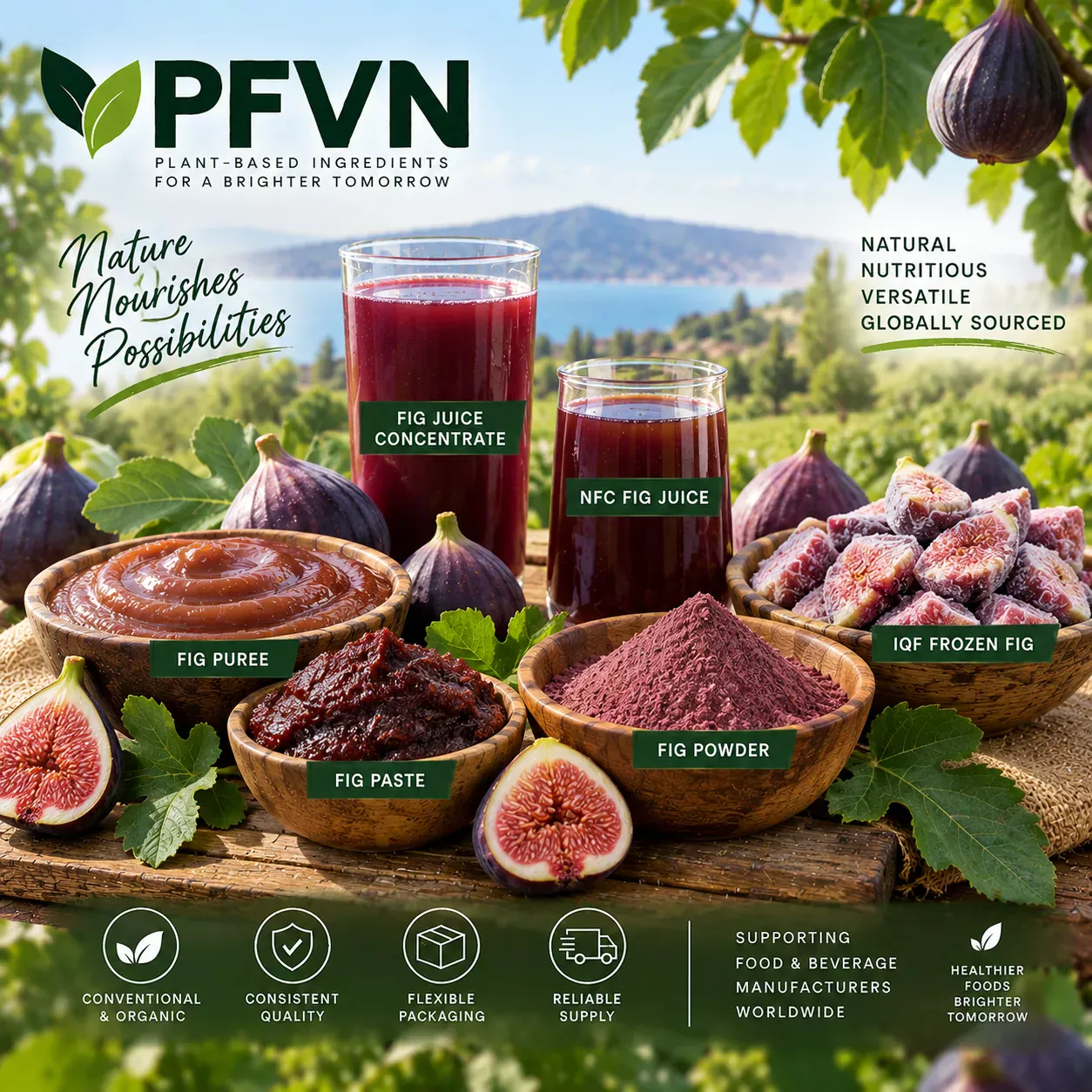 Bulk Fig Powder