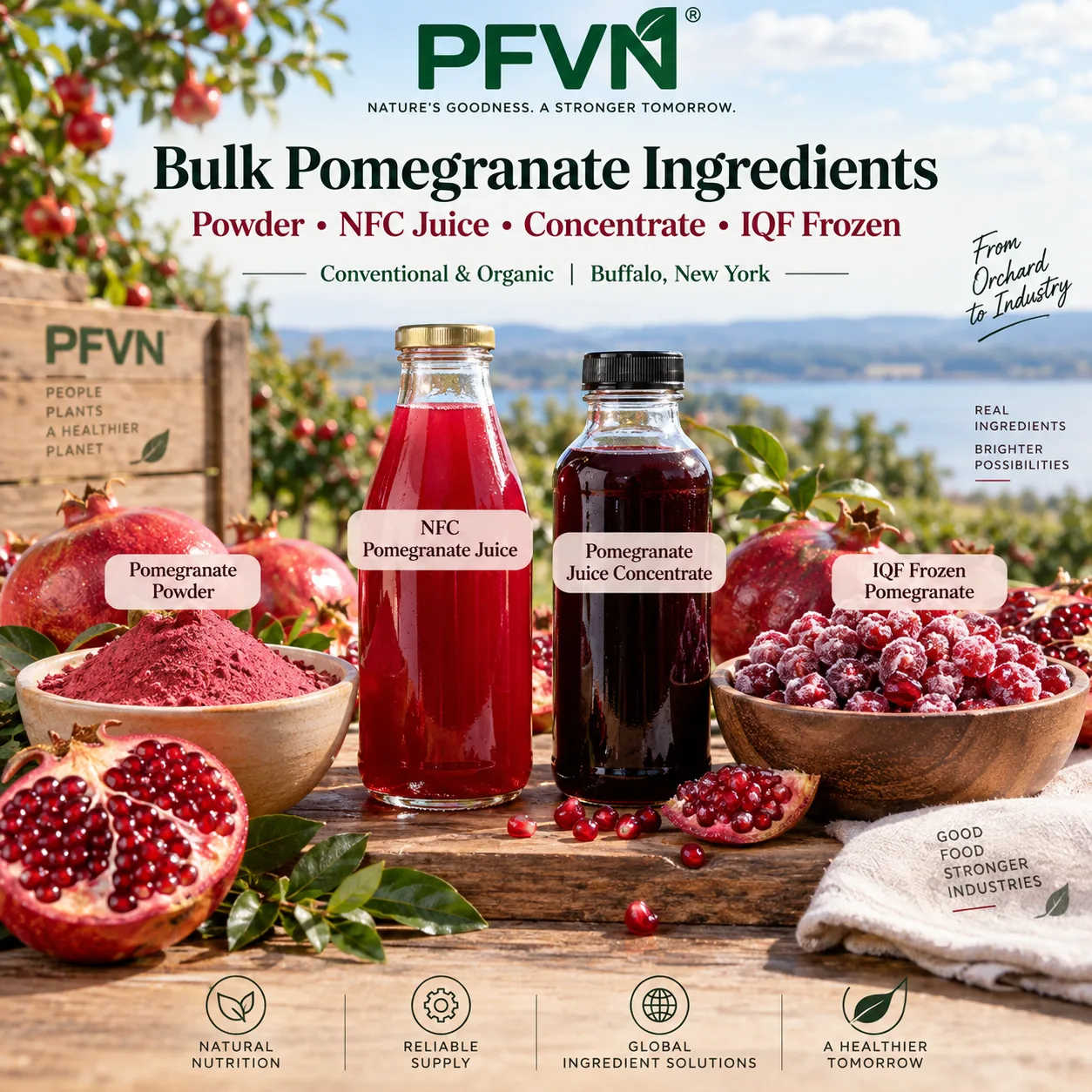 Pomegranate nfc juice for industrial manufacturing
